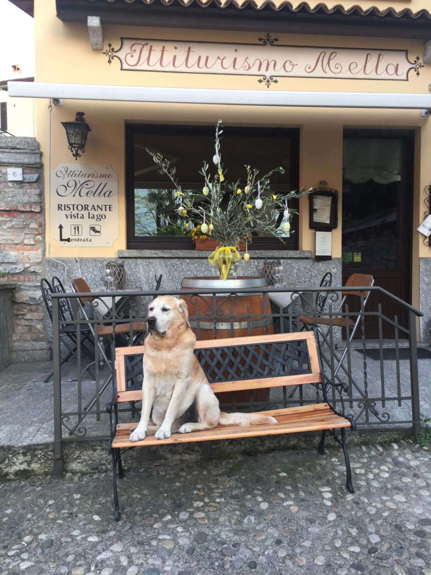 Mella Bellagio -La Corte - At The Lake With Parking Exterior foto